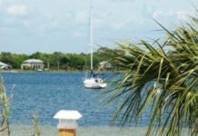 Are dogs allowed on Fort Walton beach? Are dogs allowed on Fort Walton beach?