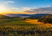 Are kids allowed in Napa Valley Tours? Are kids allowed in Napa Valley Tours?