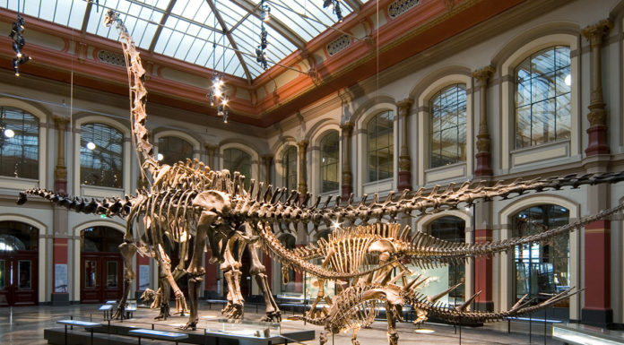 Are museums open in Qatar? Are museums open in Qatar?