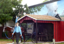 Are there any true all inclusives in Florida? Are there any true all inclusives in Florida?