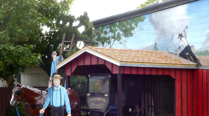 Are there any true all inclusives in Florida? Are there any true all inclusives in Florida?