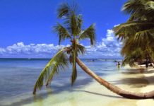 Are there beaches in Santo Domingo Dominican Republic? Are there beaches in Santo Domingo Dominican Republic?