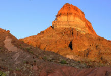 Are there cougars in Big Bend? Are there cougars in Big Bend?