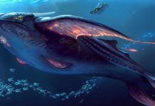 Are there guns in Subnautica: Below Zero? Are there guns in Subnautica: Below Zero?