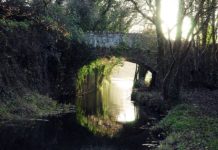 Are there orcas in Ireland? Are there orcas in Ireland?