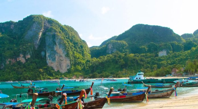 Are there sharks in Koh Phi Phi? Are there sharks in Koh Phi Phi?
