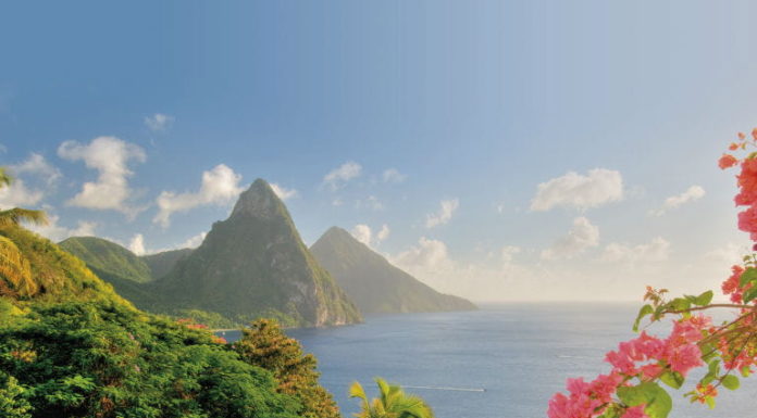 Are there sharks in St Lucia? Are there sharks in St Lucia?
