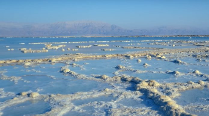 Are there sharks in the Dead Sea? Are there sharks in the Dead Sea?