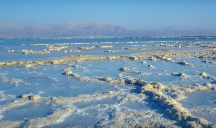 Are there sharks in the Dead Sea?