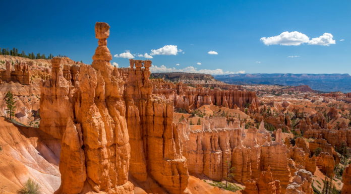 Are there wolves in Bryce Canyon? Are there wolves in Bryce Canyon?