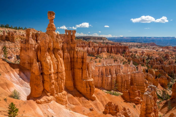 Are there wolves in Bryce Canyon?