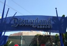 Can I bring a microwave to a Disney hotel? Can I bring a microwave to a Disney hotel?