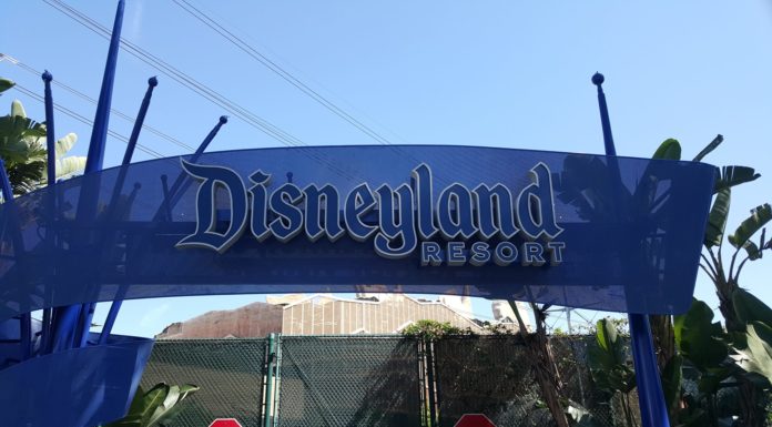 Can I bring a microwave to a Disney hotel? Can I bring a microwave to a Disney hotel?