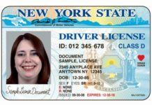 Can I drive in Belize with US license? Can I drive in Belize with US license?