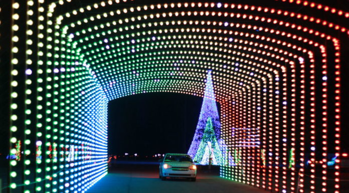 Can I drive through Yellowstone in January? Can I drive through Yellowstone in January?