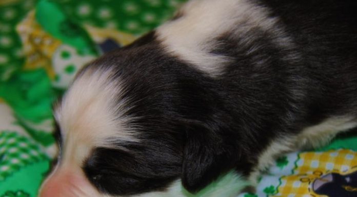 Can I fly to Germany right now? Can I fly to Germany right now?