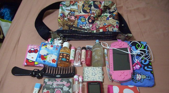 Can I put a camera in my carry-on bag? Can I put a camera in my carry-on bag?