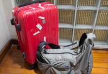 Can I take 2 bags as hand luggage? Can I take 2 bags as hand luggage?