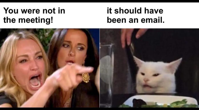 Can I take my dog to France in 2021? Can I take my dog to France in 2021?