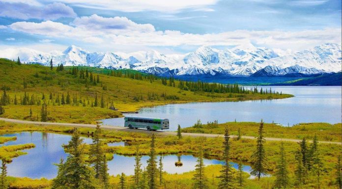 Can I take the train from Fairbanks to Denali? Can I take the train from Fairbanks to Denali?