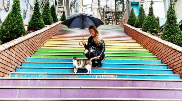 Can I use my Florida SunPass in a rental car? Can I use my Florida SunPass in a rental car?