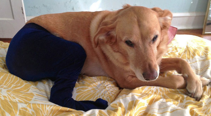 Can I wear leggings to ski? Can I wear leggings to ski?