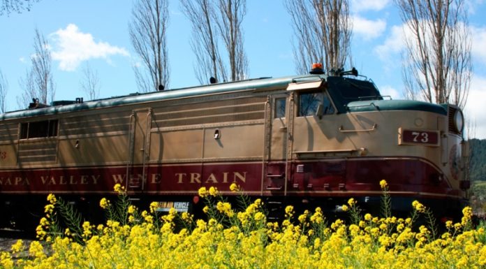 Can children go to Napa wineries? Can children go to Napa wineries?