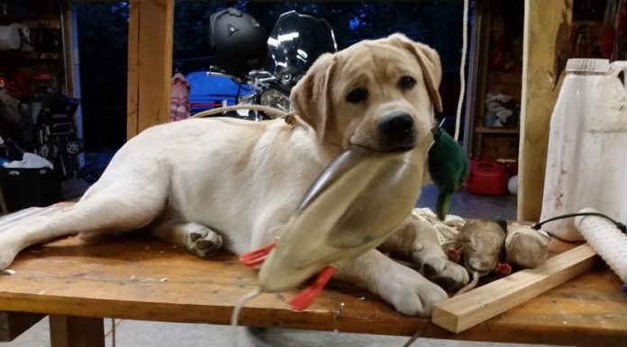 Can three people fit in a Smart car? Can three people fit in a Smart car?
