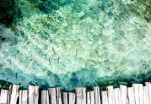 Can u swim in Plitvice Lakes? Can u swim in Plitvice Lakes?