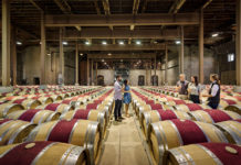 Can you bring babies to Napa wineries? Can you bring babies to Napa wineries?