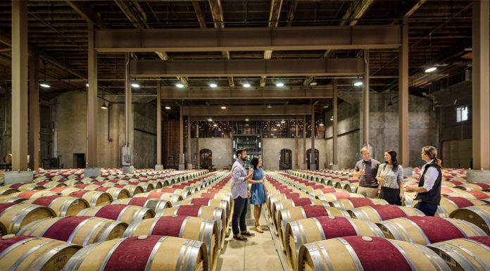 Can you bring babies to Napa wineries? Can you bring babies to Napa wineries?