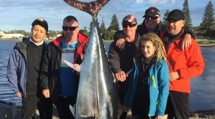 Can you catch prawns in Port Phillip Bay? Can you catch prawns in Port Phillip Bay?