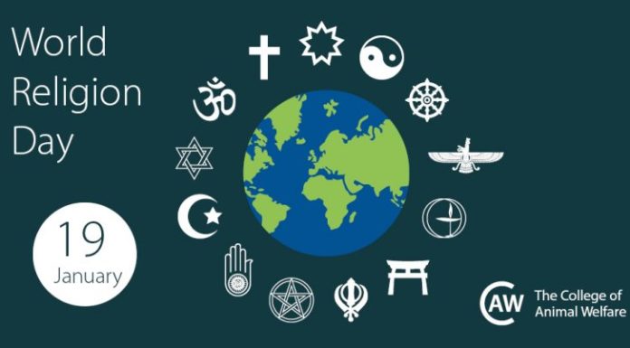 Can you do Pompeii a day? Can you do Pompeii a day?