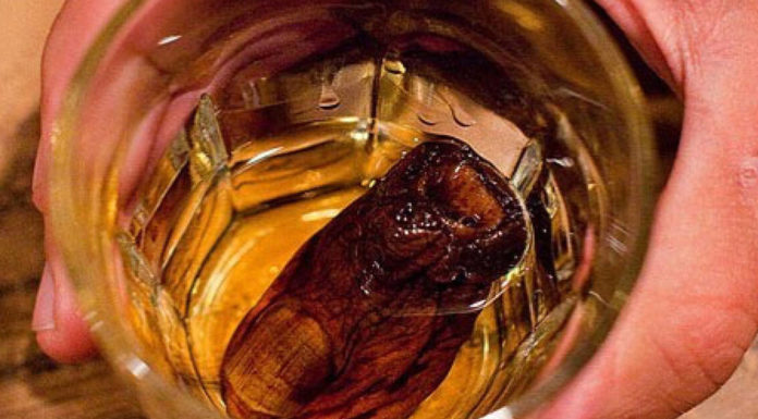 Can you drink on the Comal? Can you drink on the Comal?