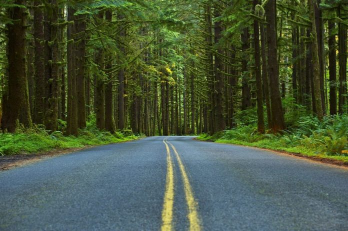 Can you drive an RV through Olympic National Park?