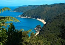 Can you drive from North Island to South Island NZ? Can you drive from North Island to South Island NZ?