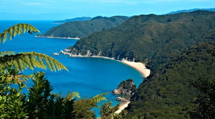 Can you drive from North Island to South Island NZ? Can you drive from North Island to South Island NZ?