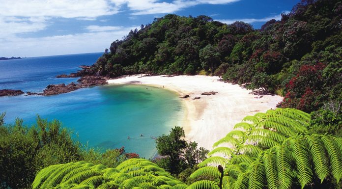Can you drive from North to south NZ? Can you drive from North to south NZ?