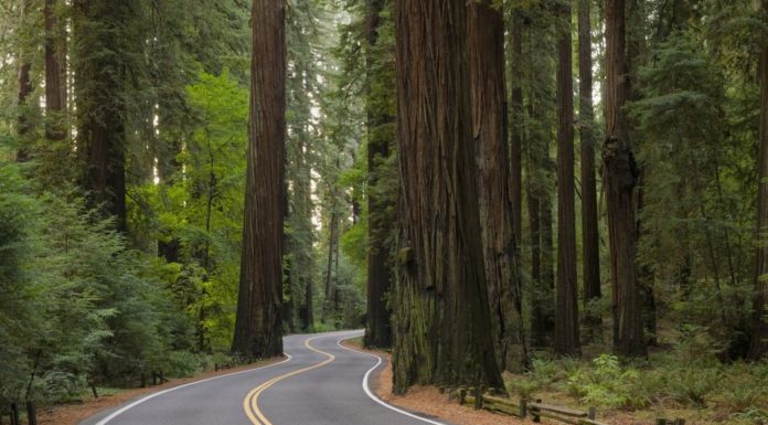Can you drive through Red Canyon Utah? Can you drive through Red Canyon Utah?