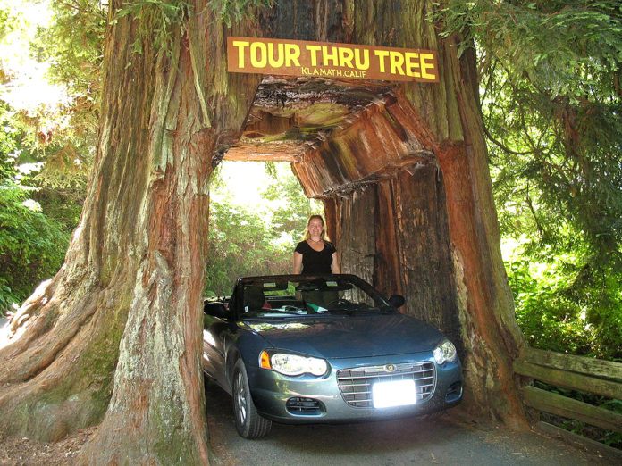 Can you drive through Sequoia National Park right now?