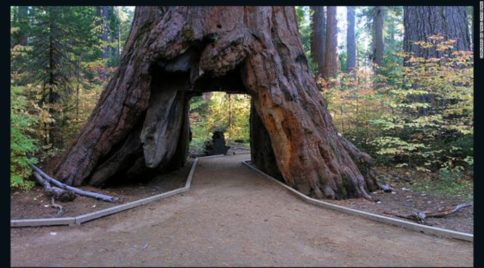 Can you drive through Volcano National Park? Can you drive through Volcano National Park?