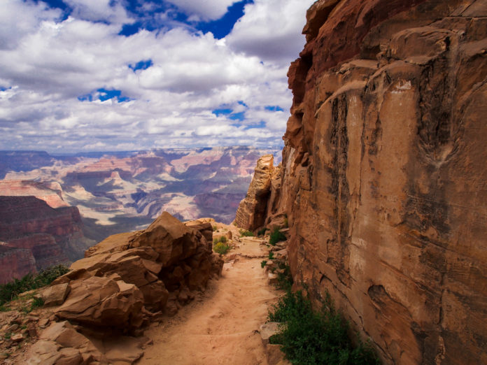 Can you drive to bottom of Grand Canyon?