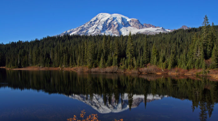 Can you drive up Mount Rainier? Can you drive up Mount Rainier?