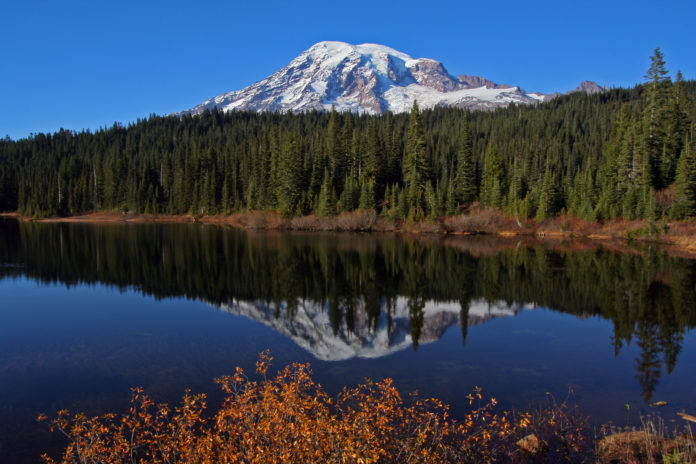 Can you drive up Mount Rainier?