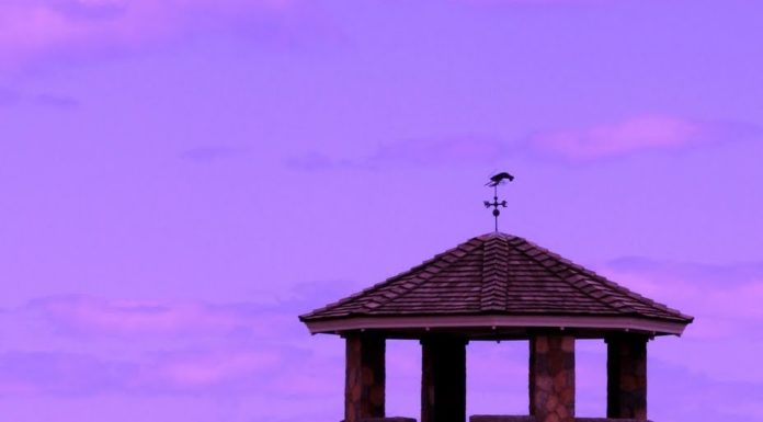 Can you drive yourself to Field of Light in Uluru? Can you drive yourself to Field of Light in Uluru?