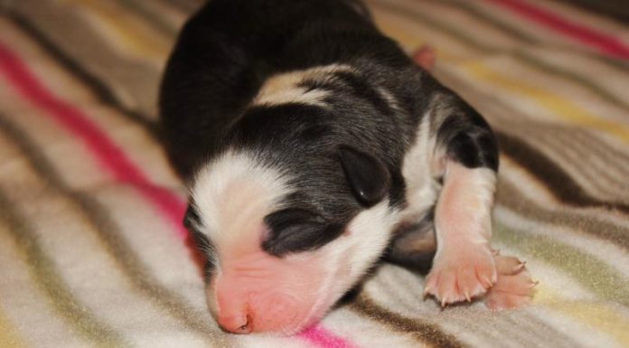 Can you fly to Oaxaca right now? Can you fly to Oaxaca right now?