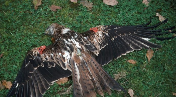 Can you get a boat from England to Scotland? Can you get a boat from England to Scotland?