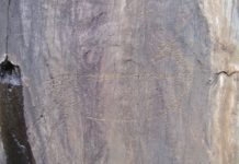 Can you get into the Natural History Museum without a ticket? Can you get into the Natural History Museum without a ticket?