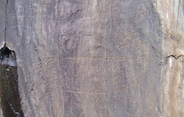 Can you get into the Natural History Museum without a ticket? Can you get into the Natural History Museum without a ticket?