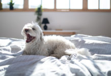 Can you go clubbing at 18 in California? Can you go clubbing at 18 in California?